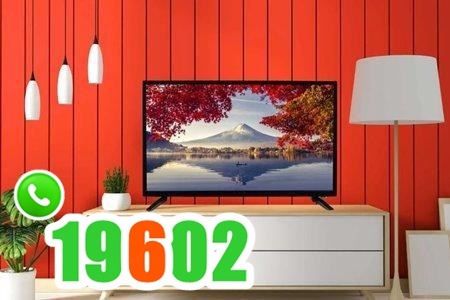 Universal screen service in Egypt